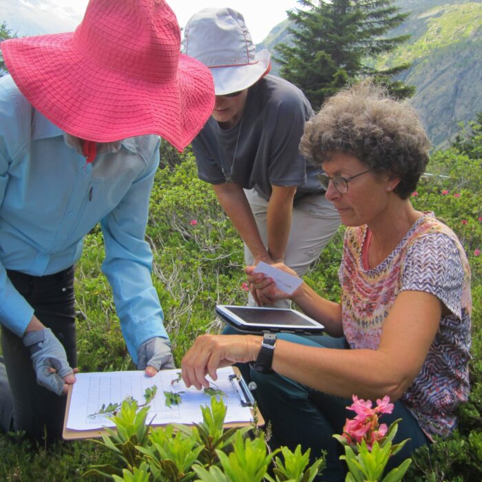 Group of scientist in nature collecting samples