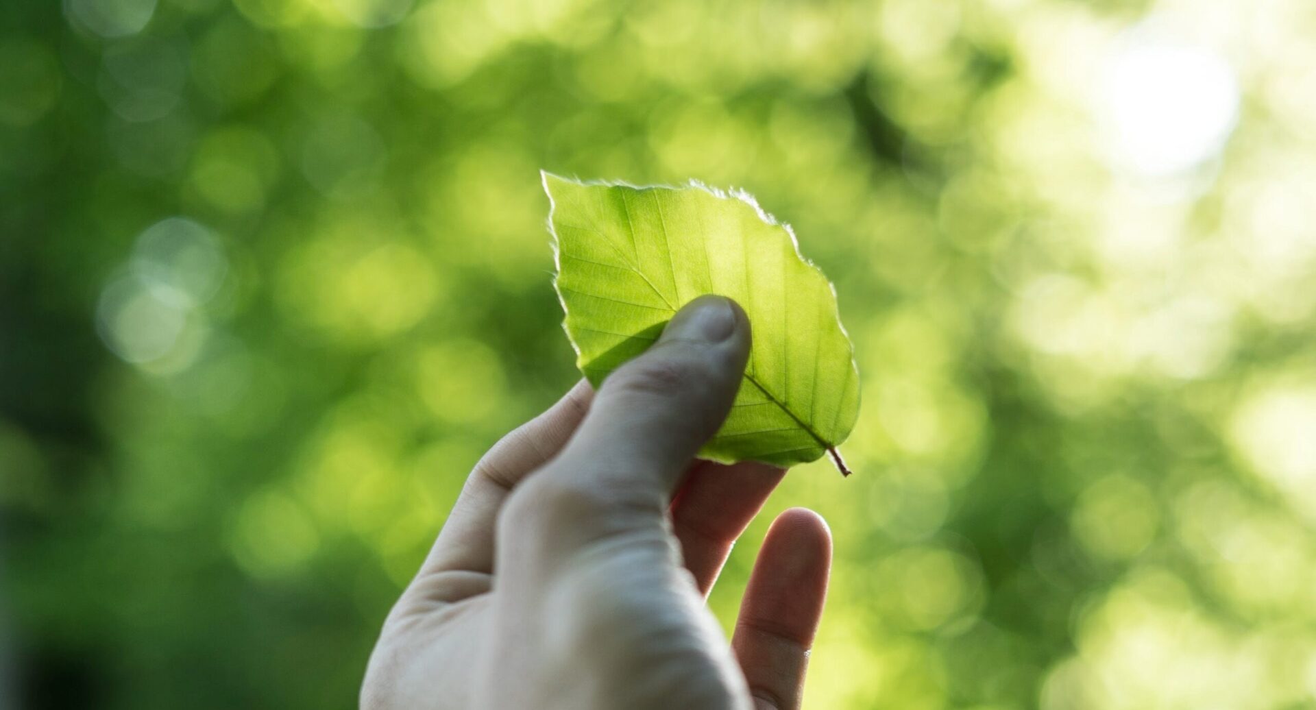 6 Reasons Investing in Sustainability is Key to a Secure Future