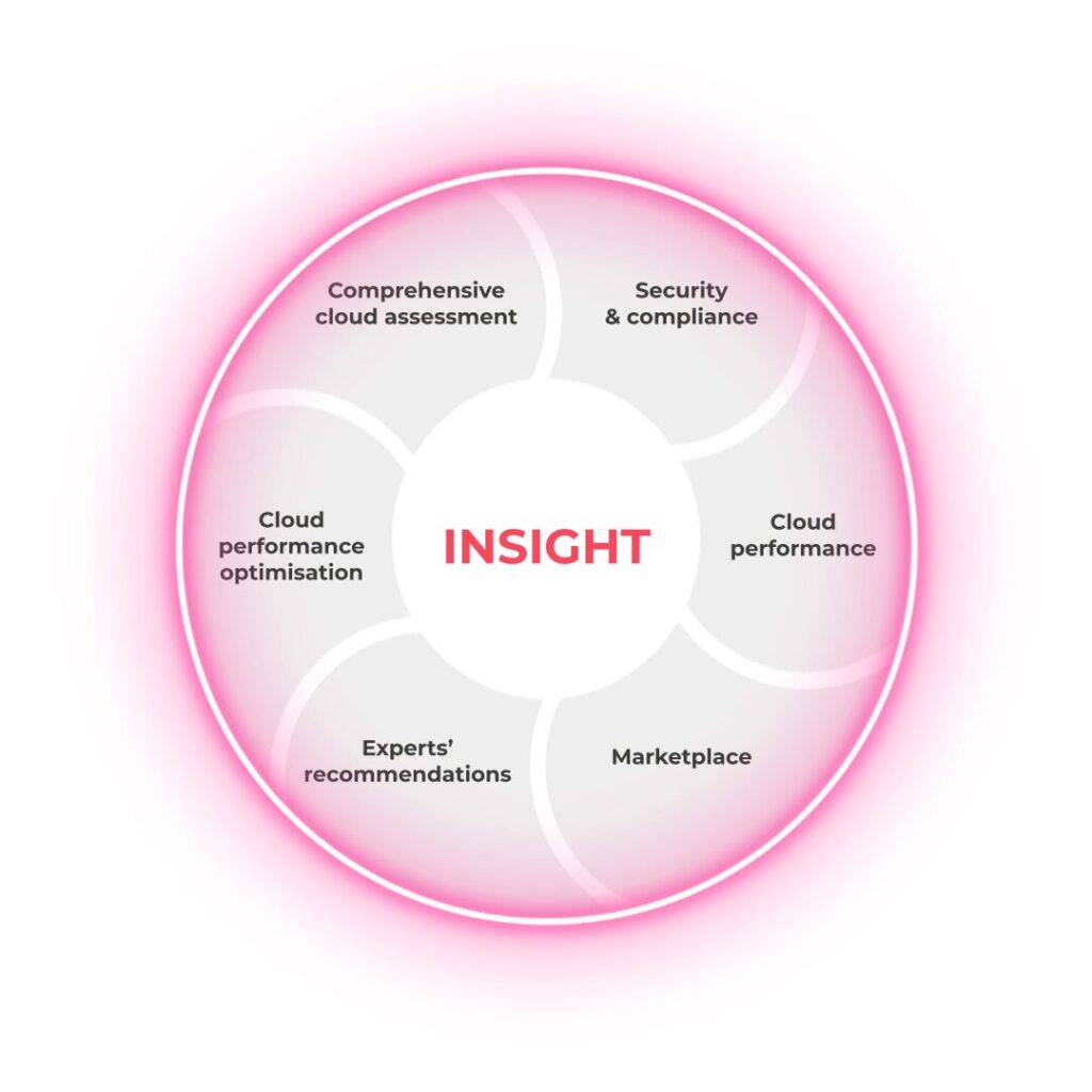 Cloud Managed Services platform Insight graph