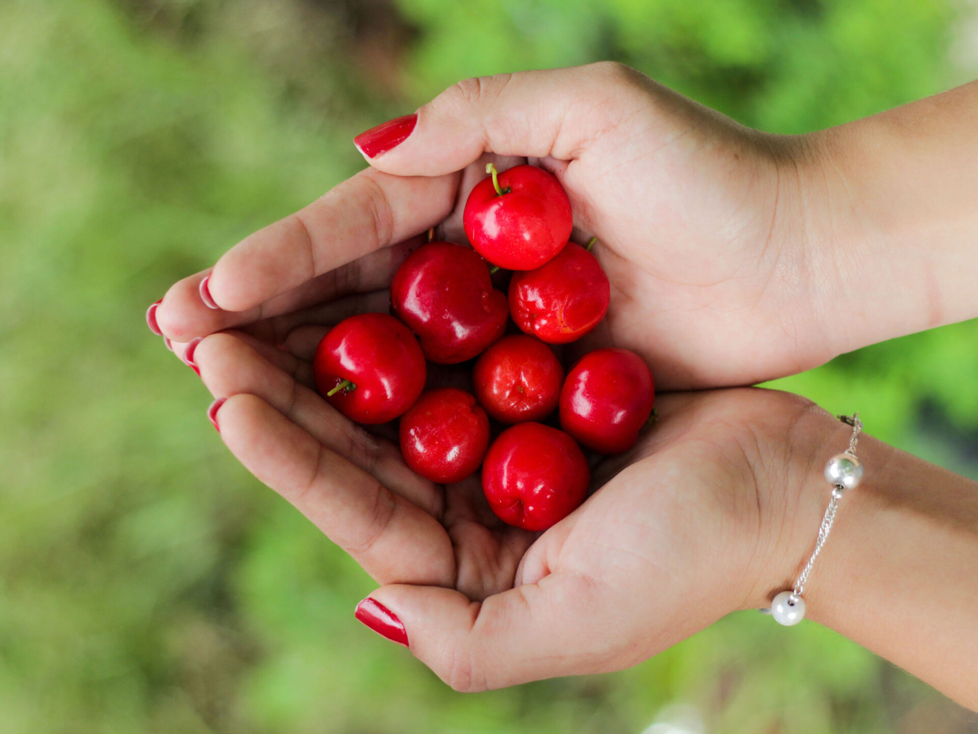 Maravilha Farms Transforms Farming in Europe with OutSystems