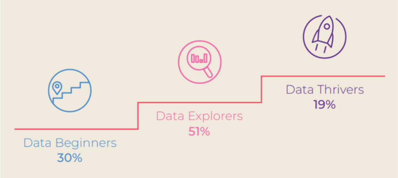 Data-driven business strategy maturity levels: Data Beginners at 30%, Data Explorers at 51%, and Data Thrivers at 19%.