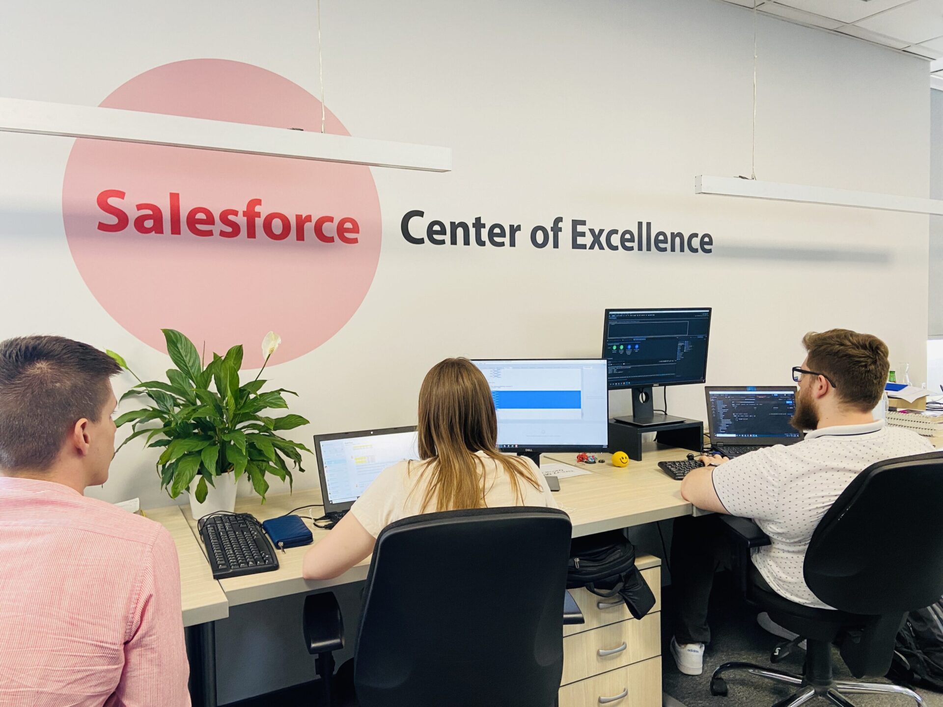 What is Salesforce Center of Excellence