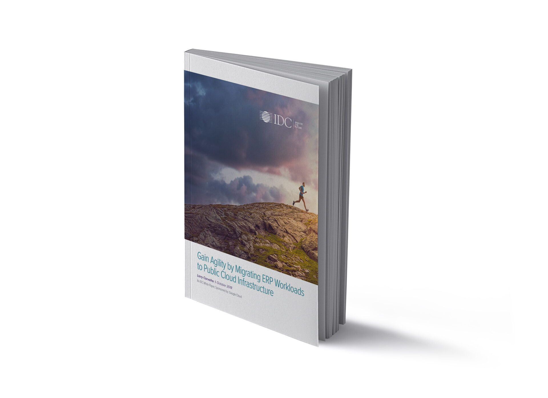 Download the Migrating ERP Workloads to Public Cloud Infrastructure White Paper