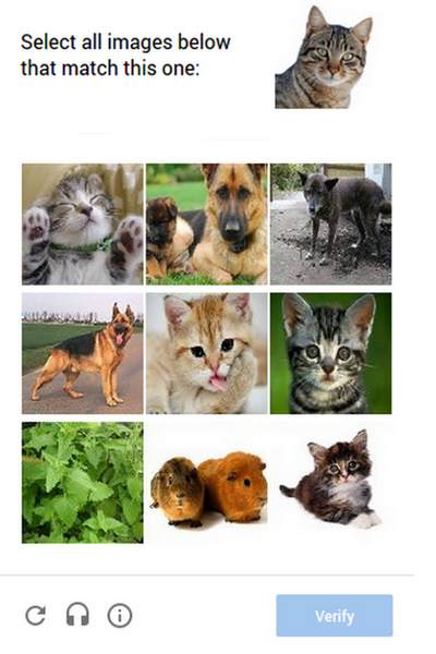 Images_Recaptcha.png